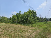S1629156